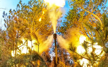 «Русские взяли Покровск в огненное кольцо»: Скорость наступления российской армии увеличилась кратно «Русские взяли Покровск в огненное кольцо»: Скорость наступления российской армии увеличилась кратно