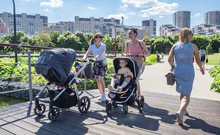 Демографический взрыв мозга: «Пусть рождаемость обеспечат губернаторы!» Демографический взрыв мозга: «Пусть рождаемость обеспечат губернаторы!»