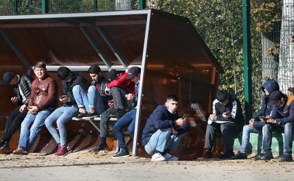 Засады на местах: Власти обхаживают мигрантов, а потом удивляются — почему они на шею сели Засады на местах: Власти обхаживают мигрантов, а потом удивляются — почему они на шею сели