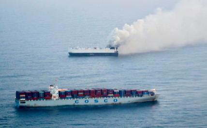 Во имя чего в Тихом океане горят 3000 жертв зеленого безумия Во имя чего в Тихом океане горят 3000 жертв зеленого безумия