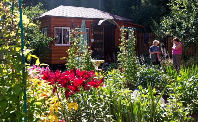 «Срубил вишню — присел на семерик»: Дачникам напомнили об очередном суровом запрете «Срубил вишню — присел на семерик»: Дачникам напомнили об очередном суровом запрете