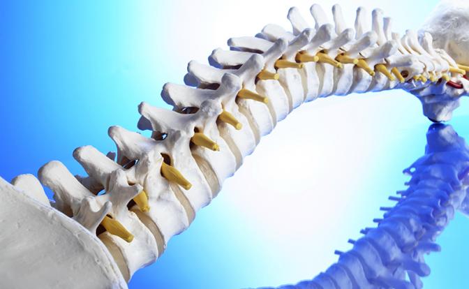 Российские ученые изучили, как изгиб позвоночной артерии влияет на возникновение инсульта Российские ученые изучили, как изгиб позвоночной артерии влияет на возникновение инсульта