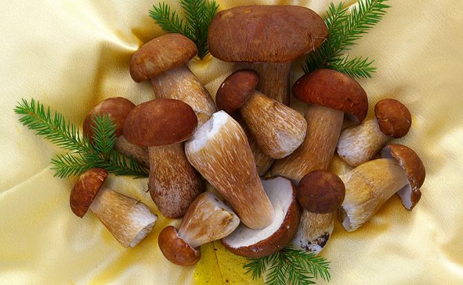 Доступен каждому: Назван продукт, который замедляет старение Доступен каждому: Назван продукт, который замедляет старение