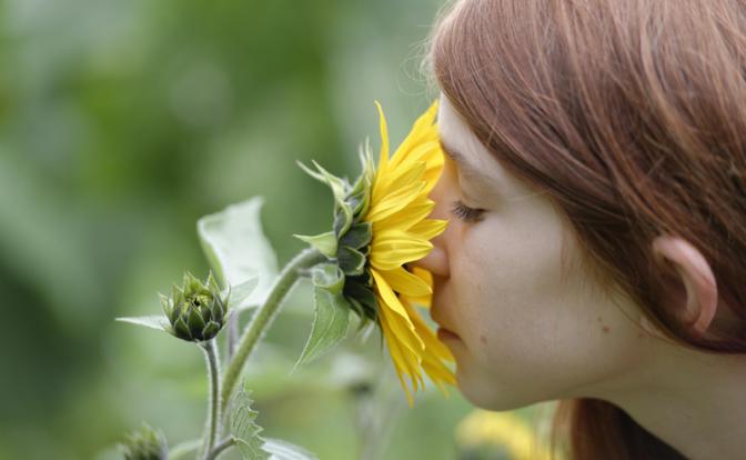 Врач объяснила тягу к странным запахам Врач объяснила тягу к странным запахам