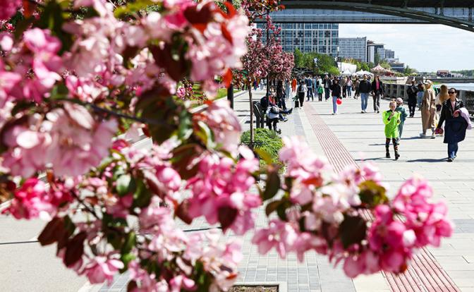 Самый культурный город: известны 8 финалистов, лидируют Новосибирск, Вологда и Челябинск Самый культурный город: известны 8 финалистов, лидируют Новосибирск, Вологда и Челябинск