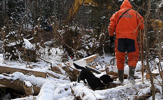 Убийство, похищение или бегство? Новые подробности о семье Усольцевых только добавили загадок Убийство, похищение или бегство? Новые подробности о семье Усольцевых только добавили загадок