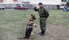 К охране Киева на время Евровидения готовят собак
