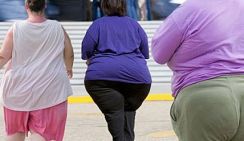 Диетолог: Россию ожидает эпидемия ожирения