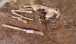 В гробнице бабушки императора были обнаружены кости вымершего вида гиббонов