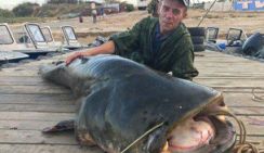 Астраханский рыбак выловил гигантского сома