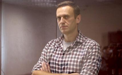 На фото: Алексей Навальный