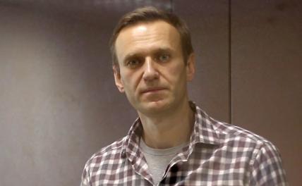 На фото: Алексей Навальный