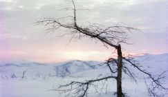 Синоптики предупреждают о страшном ветре на Чукотке
