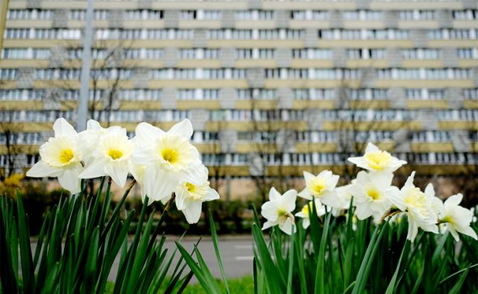 Названы регионы, где аномально тепло