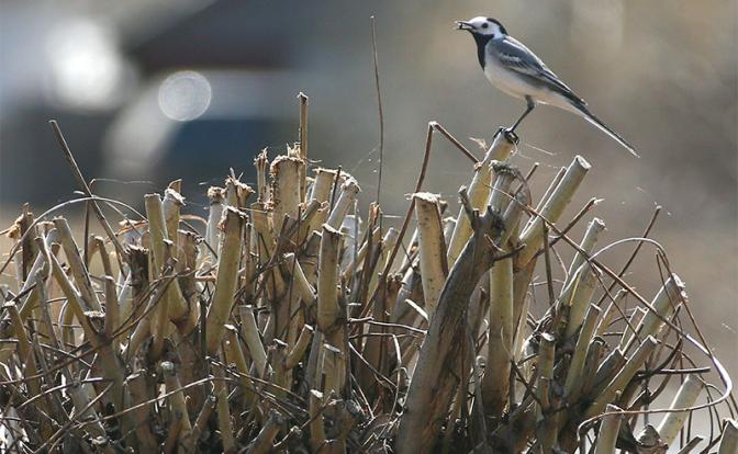Синоптики рассказали об упорном росте температур, - погода начнет добавлять градус
