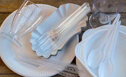 В России готовятся ввести запрет на пластиковую посуду и ватные палочки