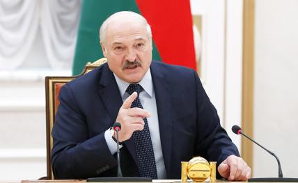 На фото: президент Белоруссии Александр Лукашенко
