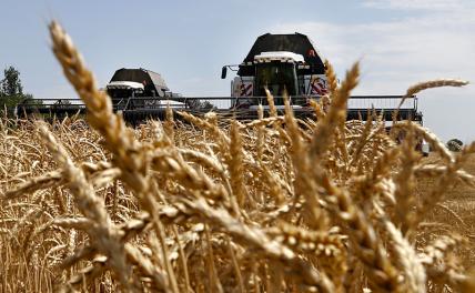 Борьба с ценами на продукты требует повышения налогов