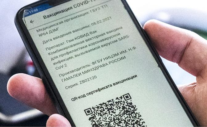 В Совфеде рассказали, что будет, если попадёшься с поддельным QR-кодом