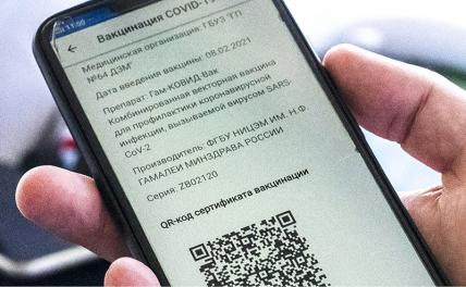 В Совфеде рассказали, что будет, если попадёшься с поддельным QR-кодом