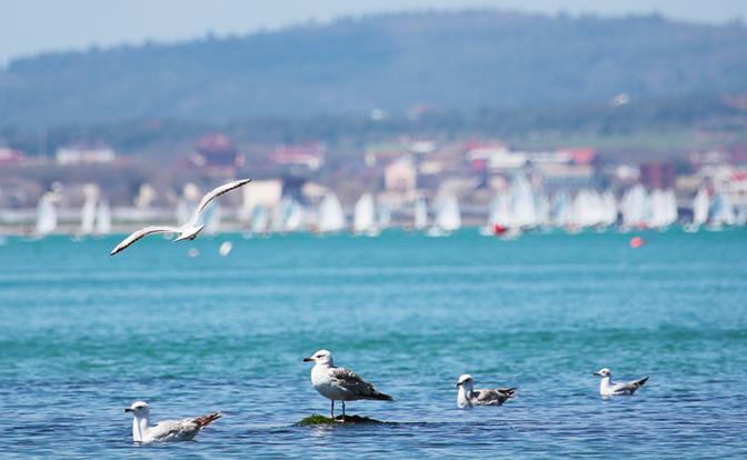 В Геленджике провал курортного сезона. Посмотрите прогноз погоды в Геленджике на 14 дней