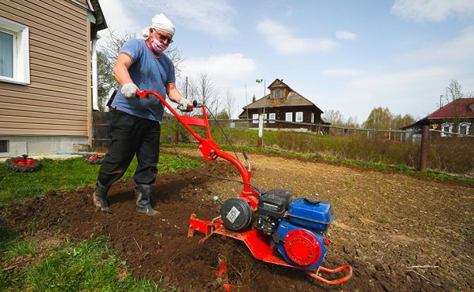 Каждый десятый российский дачник купил дом за городом, чтобы спастись от пандемии