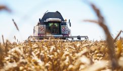 В. Катасонов: «Нас ждет дефицит зерна и рост цен на хлеб»