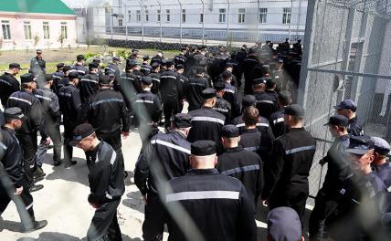 Зэки вновь стали очень ценными кадрами: Навального на какую стройку пошлют?