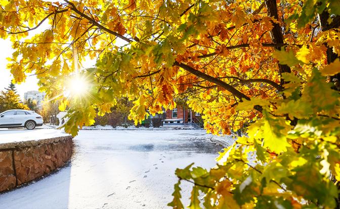 Аномальное тепло прогнозируют части России