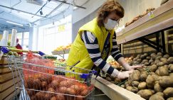 Картошка 120-150 рублей за кило: к Новому году "второй хлеб" будет дороже ананасов