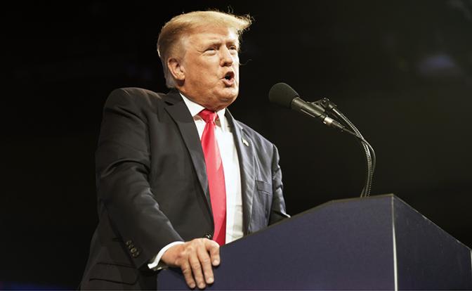 На фото: бывший президент США Дональд Трамп