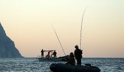 Крым без рыбы: кильку, хамсу и тюльку прикончит варварский лов