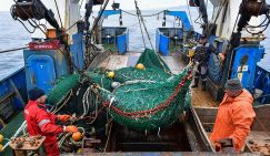 Россию накормят дарами моря щедрые Фарерские острова