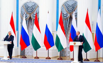 На фото: президент РФ Владимир Путин и премьер-министр Венгрии Виктор Орбан (справа налево) во время пресс-конференции по итогам встречи в Кремле.