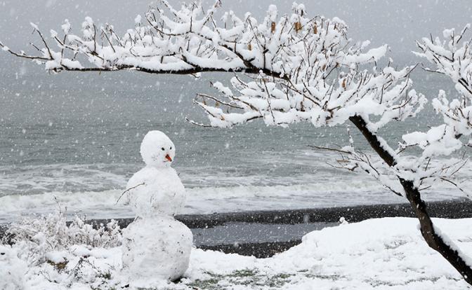 Может произойти самое страшное: россиян предупредили о климатической «русской рулетке» весной 2022