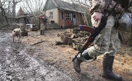 В Минобороны России заявили о бегстве украинских солдат