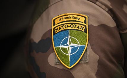В Киеве озвучили условия отказа от планов по вступлению в НАТО