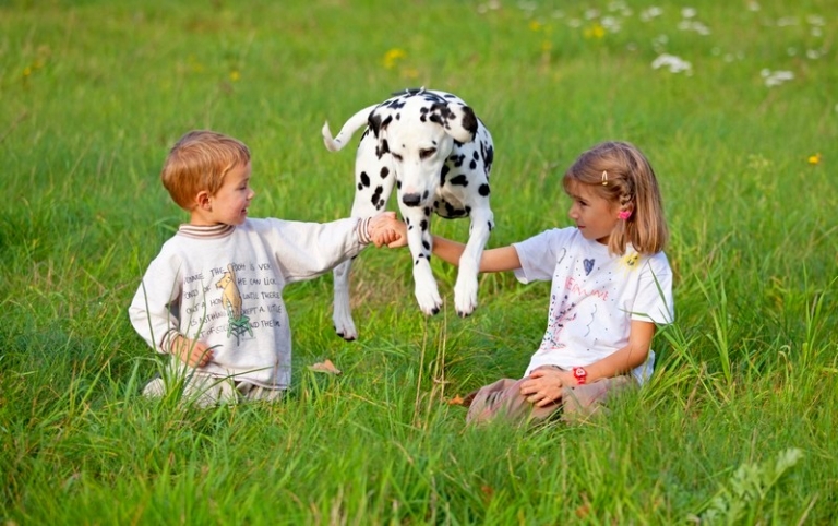 Siegfried Kuttig/imageBROKER.com/Global Look Press