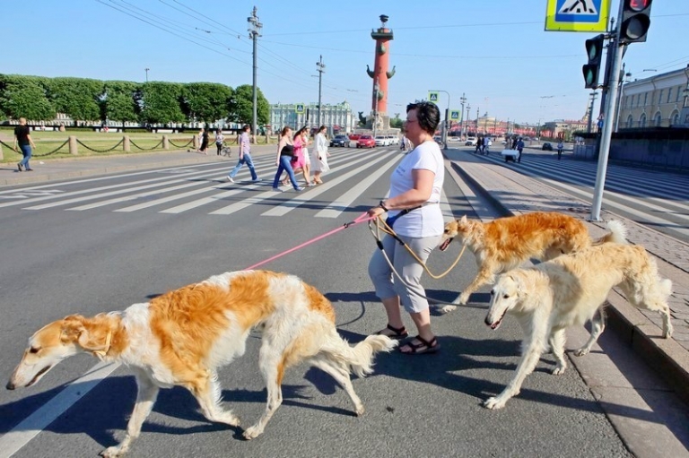 Zamir Usmanov/Global Look Press