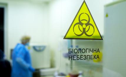 Крылатые диверсанты Америки