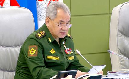 На фото: министр обороны РФ Сергей Шойгу.