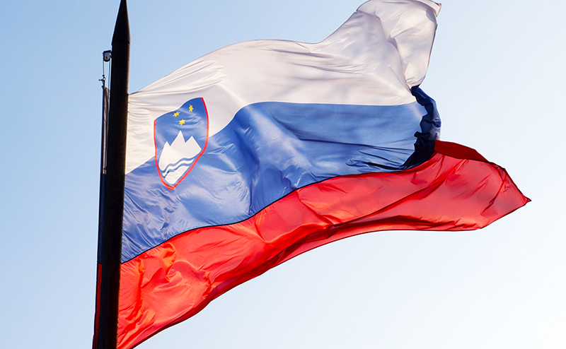 Словения планирует поднять вопрос о выходе из НАТО