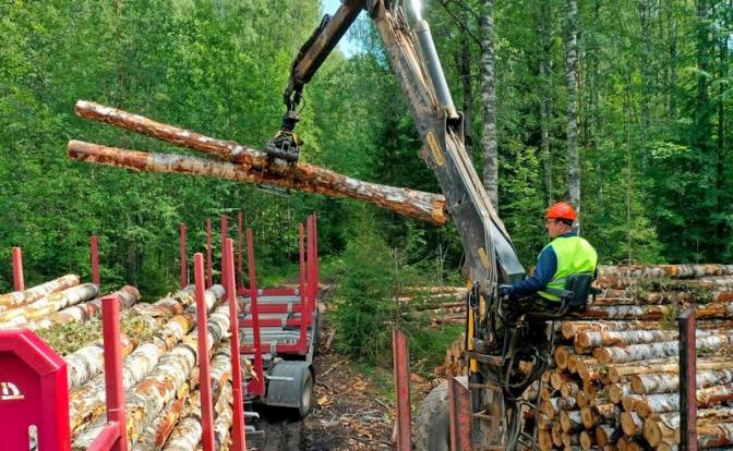 Финнов оставили без бани