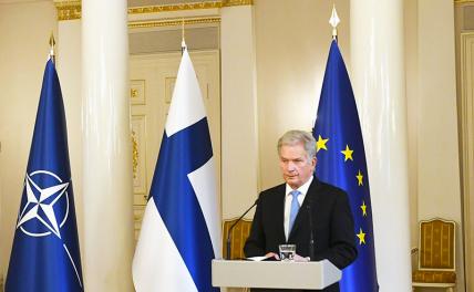 На фото: президент Финляндии Саули Ниинисте.