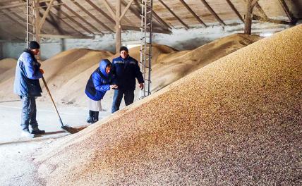 ВС РФ мешают Западу провести на Украине "зерновую спецоперацию"