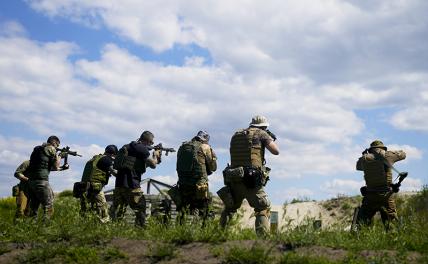 127 чехов хотели с русскими повоевать, президент Земан запретил – сами помрете, когда время придёт