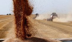 Российское зерно рвется в Иран