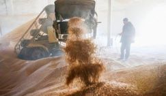 Битва за зерно: клиенты Украины начинают разбегаться