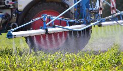 Украина скрывает, что торгует запрещенным ГМО-зерном
