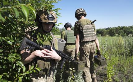 ВСУ рвутся к Бериславу: В планах захват 2 тысячи кв. км и выход к Днепру - но в реальности счет идет на "миллиметры"